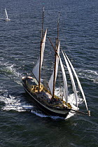Zuiderzee under sail, Douarnenez Maritime Festival, France, July 2008