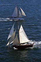 Pilot Cutter "Chloe May" and another gaff cutter under sail, Douarnenez Maritime Festival, France, July 2008