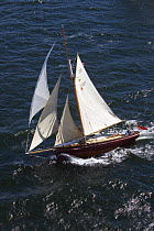 Pilot Cutter "Chloe May" under sail, Douarnenez Maritime Festival, France, July 2008