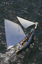 Gaff cutter "Velsia" under sail at the Douarnenez Maritime Festival, France, July 2008