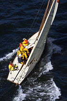 Cutter "Phoebus II" under sail, Douarnenez Maritime Festival, France, July 2008