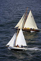Cutter "Phoebus II" and cutter "As de Coeur" under sail, Douarnenez Maritime Festival, France, July 2008