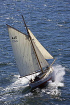 Gaff cutter "Velsia" under sail, Douarnenez Maritime Festival, France, July 2008