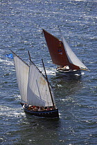 Sardine fishing boat "Telenn Mor" and Basque tuna fishing boat (fitted for rowing and sailing) under sail at Douarnenez Maritime Festival, France, July 2008