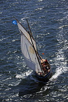 Sardine fishing boat "Telenn Mor" (fitted for rowing and sailing) under sail at Douarnenez Maritime Festival, France, July 2008