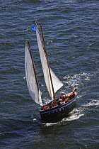Sardine fishing boat "Telenn Mor" (fitted for rowing and sailing) under sail at Douarnenez Maritime Festival, France, July 2008