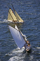 "Phebus II" and "Fyne" under sail at Douarnenez Maritime Festival, France, July 2008