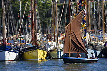Boats moored in Port de Rosmeur, at the Douarnenez Maritime Festival, France, July 2008