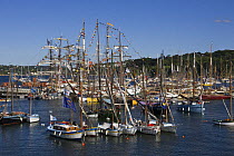 Boats moored in Port de Rosmeur for the Douarnenez Maritime Festival, France, July 2008