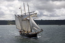 Three masted schooner "Hendrika Bartelds" at the Douarnenez Maritime Festival, France, July 2008