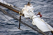 Sail work on schooner "Zuiderzee" at the Douarnenez Maritime Festival, France, July 2008