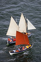 Traditional boats at Douarnenez Maritime Festival, France, July 2008