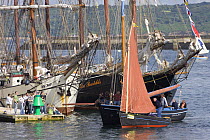 Traditional boats in the harbour at Tuna Douarnenez Maritime Festival, France, July 2008