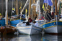 Traditional boats moored at Douarnenez Maritime Festival, France, July 2008