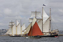 Tall ships and cutter under sail at Douarnenez Maritime Festival, France, July 2008