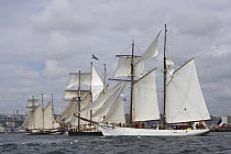 Gaff schooner "Belle Poule" and other tall ships at Douarnenez Maritime Festival, France, July 2008