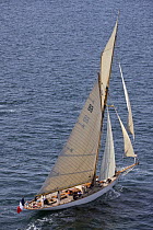 Cutter "Moonbeam" under sail at Douarnenez Maritime Festival, France, July 2008