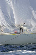 Sail work upon United Internet team Germany yacht, 32nd America's Cup (Louis Vuitton Act 12), Valencia, Spain (June 2006)