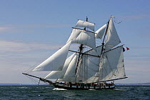 Tall ship under sail during Brest International Maritime Festival, July 2004