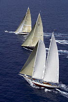 Windrose, Velsheda and Ranger, Antigua Classic Yacht Regatta, 2005