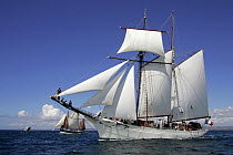 Schooner "Belle-Poule" under sail at Douarnenez Maritime Festival July 2006
