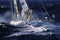 Jean Luc van den Heede arriving from Global Challenge (Western circumnavigation), record boat -122 days 14 hours 3 minutes 49 seconds, Ouessant (Ushant), Brittany, France, March, 2004