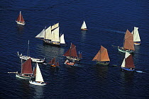 Sailing fleet enters Brest for the Douarnenez Maritime Festival, France 2000