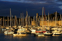 Boats moored in evening light, Concarneau, Finistere, Brittany, France