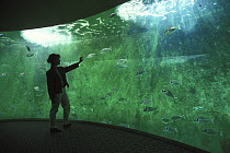 Woman reaching towards fish in Saint Malo Grand Aquarium, Brittany, France