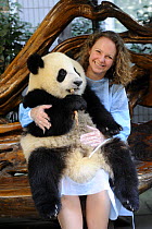 Tourist being photographed with young giant panda aged one year at the Chengdu Research Base of Giant Panda Breeding