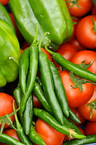 Close up shot of home grown greenhouse harvest of Sweet peppers, chilli peppers and tomatoes, UK, August