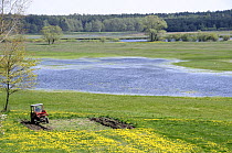 Farmer ploughs land at edge of Narew marsh, Poland