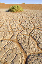 Baked and cracked mud / sand, near Deadvlei, Sossusvlei, Namib Desert, Namibia. July 2008.