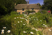 Thomas Hardy's Cottage, Higher Bockhampton, nr Dorchester, Dorset