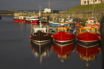 Boat reflections in harbour, Northumberland