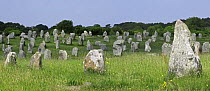 Standing stones in the Ménec alignment at Carnac, Brittany, France. May 2008.