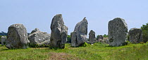 Standing stones in the Kermario alignment at Carnac, Brittany, France. May 2008.