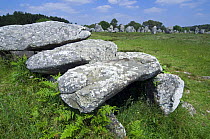 Dolmen and standing stones in the Kermario alignment at Carnac, Brittany, France. May 2008.