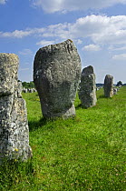Standing stones in the Ménec alignment at Carnac, Brittany, France. May 2008.