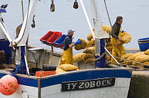 Fishermen unload bags of Scallops (Pecten jacobeus) from fishing boat at the Erquy port, Brittany, France. May 2008.