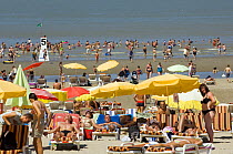 Tourists sunbathing and swimming at the North Sea beach in summer, Blankenberge, Belgium. July 2008.