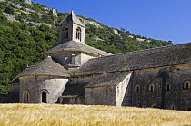 The Sénanque Abbey / Abbaye Notre-Dame de Sénanque, a Cistercian abbey near the village of Gordes in the Vaucluse, Provence, France. June 2008.