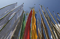 Buddhist prayer flags, Kalimpong, West Bengal, India October 2007