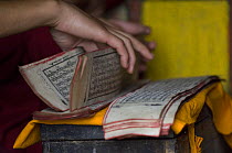 Handling the prayer books in Phodong Monastery, Phodong, Sikkim, India October 2007