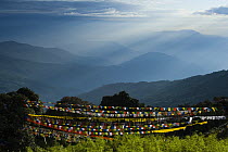 Mountains to the east seen at sunrise from Tiger hill viewpoint, with prayer flags in the foreground, Darjeeling, West Bengel, India October 2007