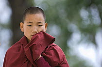 Young monk at Kechopari Monastery, near Kechopari Lake, Sikkim, India October 2007