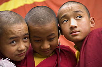 Young buddhist monks listening to a sound recording of monk chanting on an ipod, Enchey Monastery, Gangtok, Sikkim, India October 2007