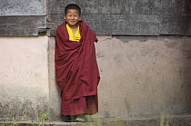 Young Buddhist monk, Labrang Monastery, Phodong, Sikkim, India October 2007