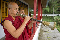 Buddhist monks playing short trumpets after Puja in Phodong Monastery, Phodong, Sikkim, India October 2007