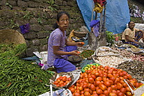 Woman selling vegetables at street market stall,  Sombare, West Sikkim, India October 2007
